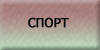 Спорт